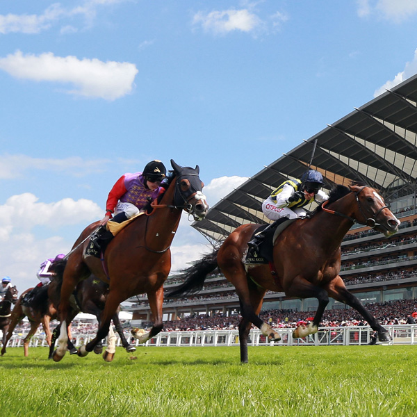 Corby Royal Ascot Limo Hire