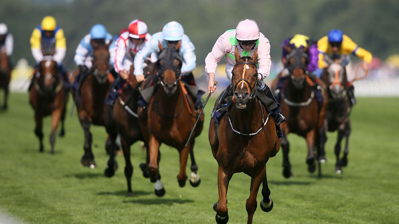 Corby Royal Ascot Limo Hire